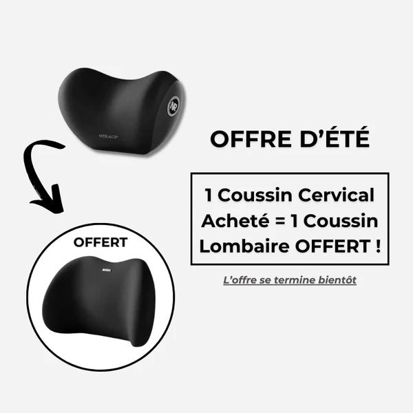 Coussin de Soutien Lombaire et Cervical